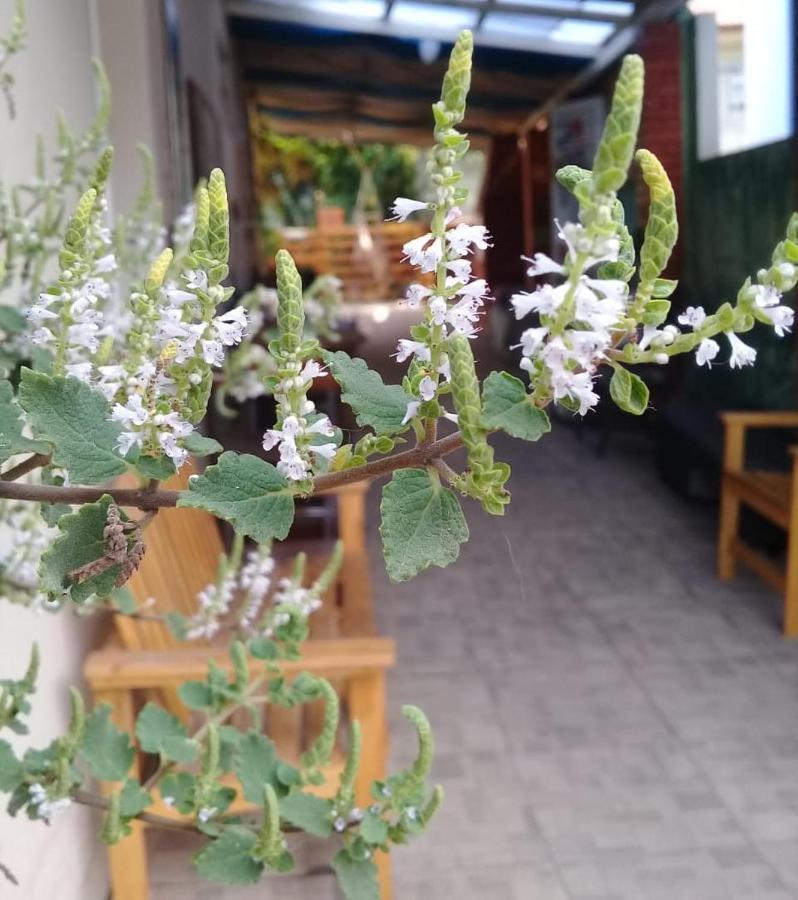 Hostel Nossa Casa Флорианополис Экстерьер фото